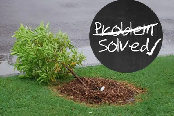 Problem Solved: Neat and Tidy Landscapes