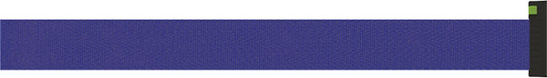 Pilot Blue Belt