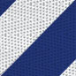 Pilot Blue White Belt