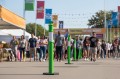Green-T-Top-Bollard.jpg