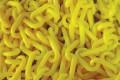 plastic-chain-PC6Y.jpg